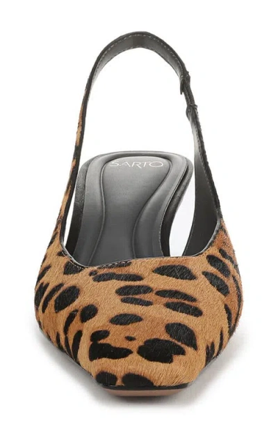 Sarto By Franco Sarto Raven Slingback Kitten Heel Pump In Brown