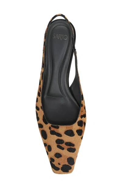 Sarto By Franco Sarto Raven Slingback Kitten Heel Pump In Brown