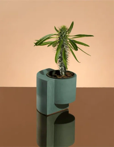 Tortuga Forma Platform Planter Concrete In Green
