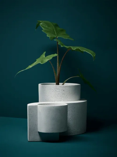 Tortuga Forma Platform Planter Concrete Set Of 2 In White