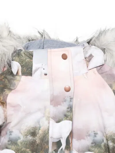 Molo Horse Print Hooded Jacket In Gray