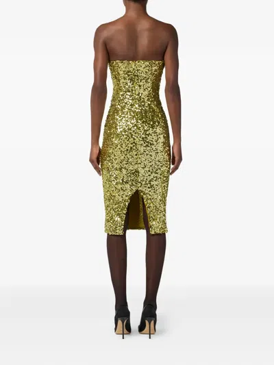 Elisabetta Franchi Sequin Bustier Dress With Jewel Hooks In Green