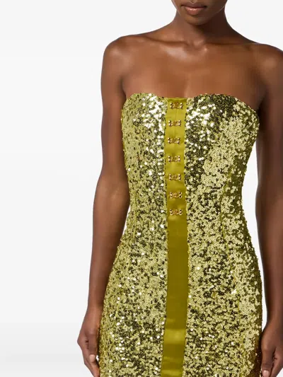 Elisabetta Franchi Sequin Bustier Dress With Jewel Hooks In Green