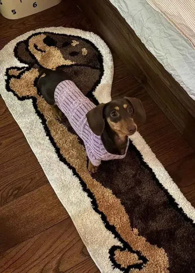 Proxxi Cute Whimsical Ultra Soft Dachshunt Runner Rug In Multi
