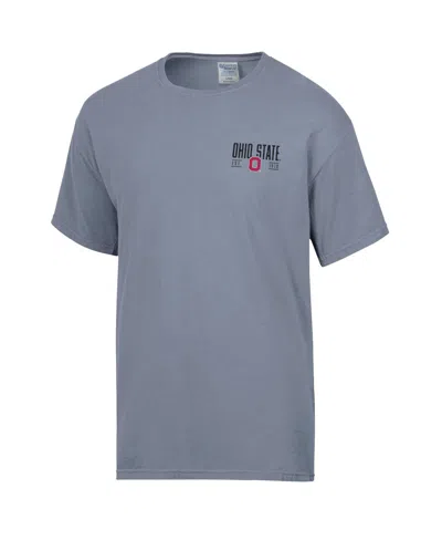 Comfortwash Men's Gray Ohio State Buckeyes Big Name T-shirt In Gray