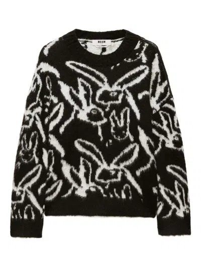 Msgm Sketched Bunnies Sweater In Black