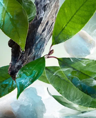 Bvlgari 3-pc. Pour Homme Eau De Parfum Gift Set In Transparent