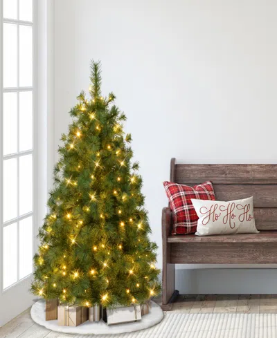 Puleo 4.5' Pre-lit Artificial Colorado Pine Christmas Tree With Dual Function Led Lights In Green