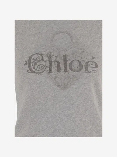 Chloé Baby Fit T-shirt With Logo In Cotton Jersey In Gray