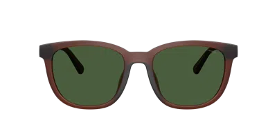 Coach Textured Square Sunglasses In Green