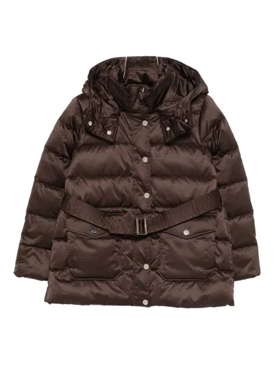 Liu •jo Liu Jo Brown Down Jacket With A Belted Waist In Brown