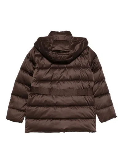 Liu •jo Liu Jo Brown Down Jacket With A Belted Waist In Brown