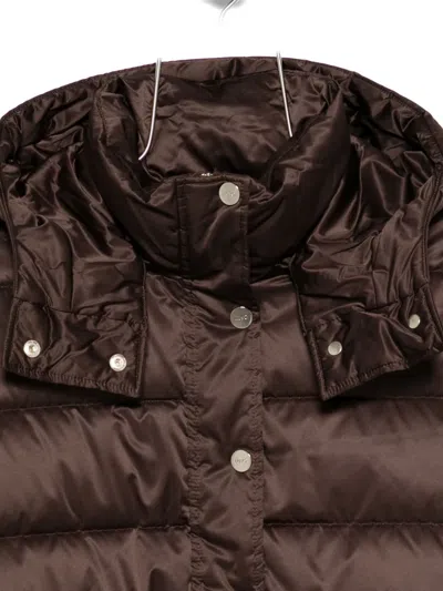 Liu •jo Liu Jo Brown Down Jacket With A Belted Waist In Brown