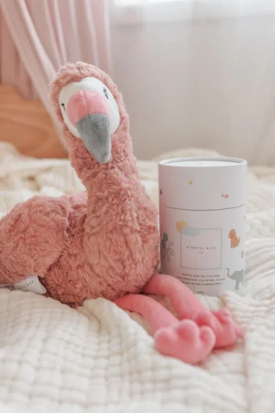 Mindful & Co Kids Sleepy Time Bliss Bundle In Multi