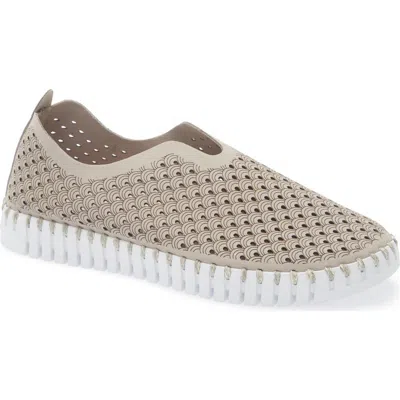 Ilse Jacobsen Tulip Perforated Slip-on Sneaker In Brown