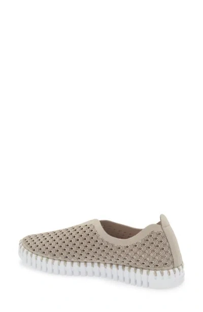 Ilse Jacobsen Tulip Perforated Slip-on Sneaker In Brown