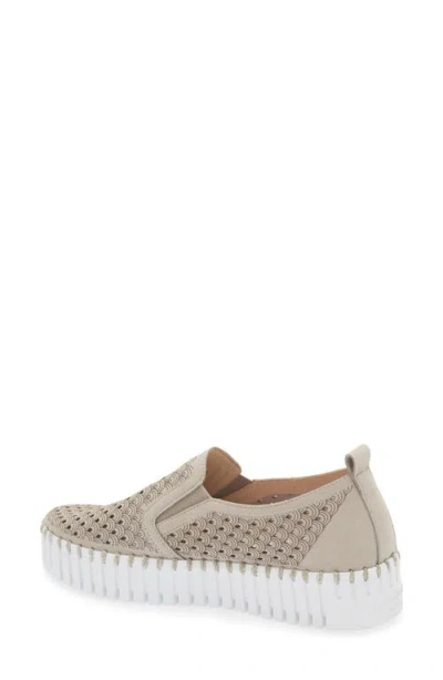 Ilse Jacobsen Tulip Slip-on Sneaker In Brown