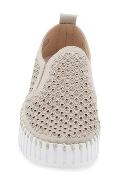 Ilse Jacobsen Tulip Slip-on Sneaker In Brown