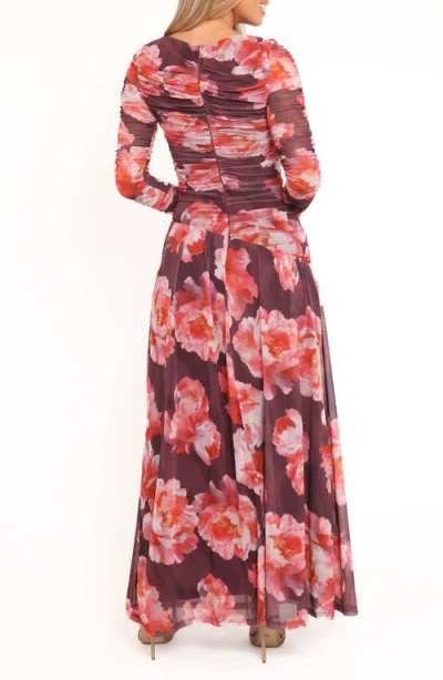 Petal And Pup Petal & Pup Calypso Floral Ruched Long Sleeve Mesh Maxi Dress In Multi