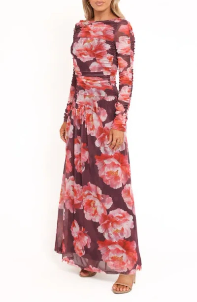 Petal And Pup Petal & Pup Calypso Floral Ruched Long Sleeve Mesh Maxi Dress In Multi