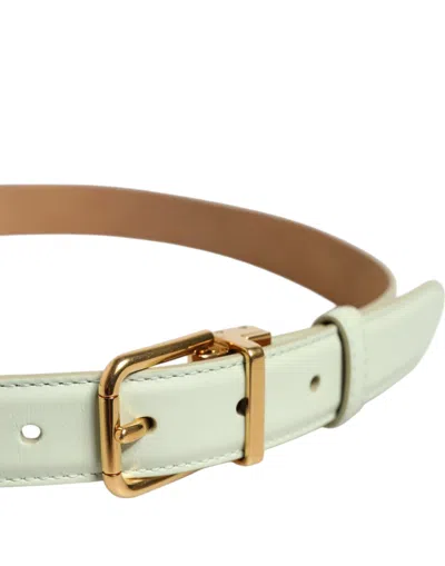 Dolce & Gabbana Light Green Leather Gold Metal Buckle Belt In Multi