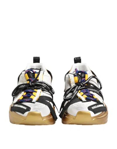 Dolce & Gabbana Multicolor Daymaster Low Top Sneakers Shoes In Multi