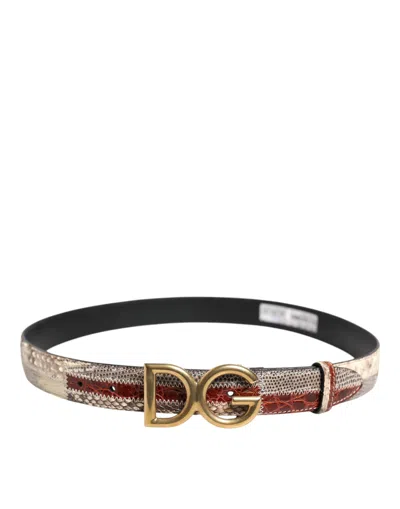 Pre-owned Dolce & Gabbana Multicolor Exotic Leather Dg Logo Buckle Men's Belt ()
