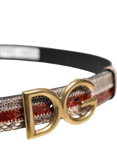 Pre-owned Dolce & Gabbana Multicolor Exotic Leather Dg Logo Buckle Men's Belt ()