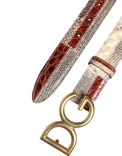 Pre-owned Dolce & Gabbana Multicolor Exotic Leather Dg Logo Buckle Men's Belt ()