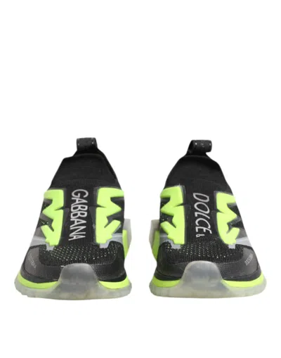 Pre-owned Dolce & Gabbana Multicolor Sorrento Low Top Sneakers Men's Shoes ()
