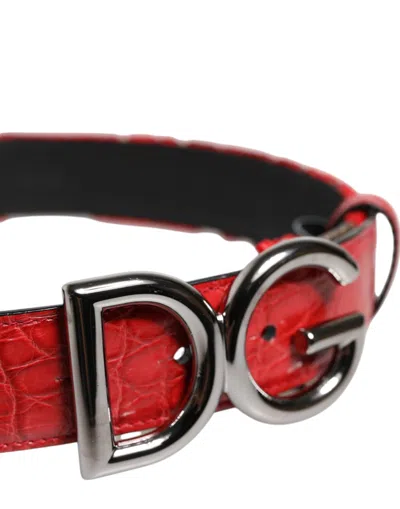 Dolce & Gabbana Red Viscose Silver Dg Logo Metal Buckle Belt In Red
