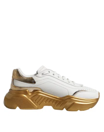 Pre-owned Dolce & Gabbana White Gold Daymaster Low Top Sneakers Women's Shoes ()