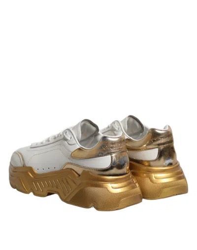 Pre-owned Dolce & Gabbana White Gold Daymaster Low Top Sneakers Women's Shoes ()