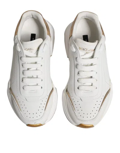 Pre-owned Dolce & Gabbana White Gold Daymaster Low Top Sneakers Women's Shoes ()
