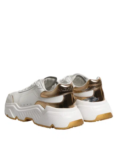 Pre-owned Dolce & Gabbana White Gold Daymaster Low Top Sneakers Women's Shoes ()
