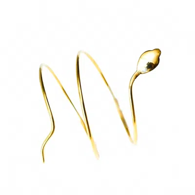 Avenue Chic Women's Cobra Armlet In Gold In Gold