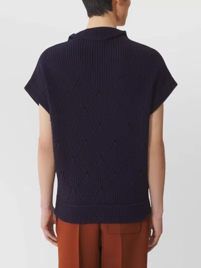 Lanvin High Neck Short Sleeve Knit Sweater In Blue