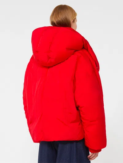 Sportmax Short Padded Jacket With High Collar And Horizontal Stitching In Red