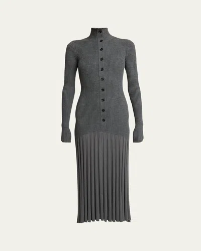 Proenza Schouler Jada Turtleneck Drop-waist Button-front Maxi Dress In Gray