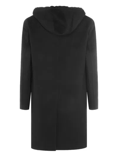 Lardini Hooded Button-down Coat In Black
