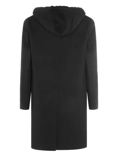 Lardini Hooded Button-down Coat In Black