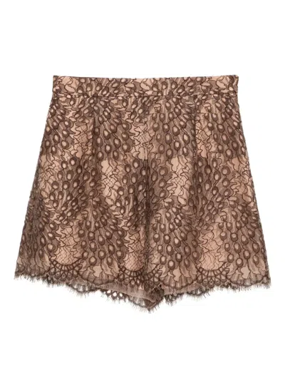 Shiatzy Chen Scape-of-curve Lace-print Shorts In Brown