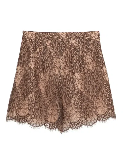 Shiatzy Chen Scape-of-curve Lace-print Shorts In Brown