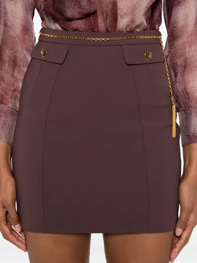 Elisabetta Franchi Versatile Skirts Collection In Brown