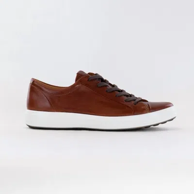 Ecco Soft 7 Premier Sneaker In Brown