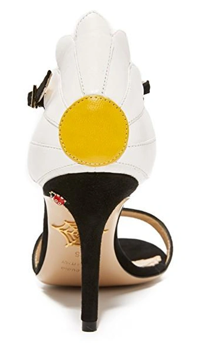 Shop Charlotte Olympia Marge Daisy Sandals In Black/white/sunshine Yellow