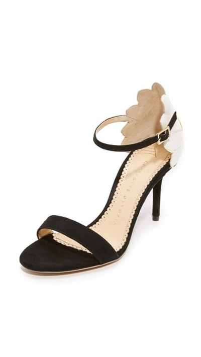 Shop Charlotte Olympia Marge Daisy Sandals In Black/white/sunshine Yellow