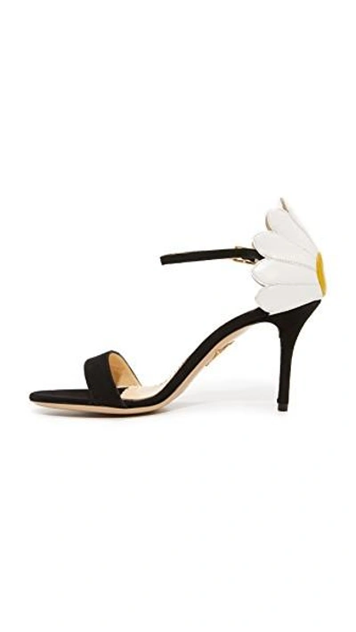 Shop Charlotte Olympia Marge Daisy Sandals In Black/white/sunshine Yellow