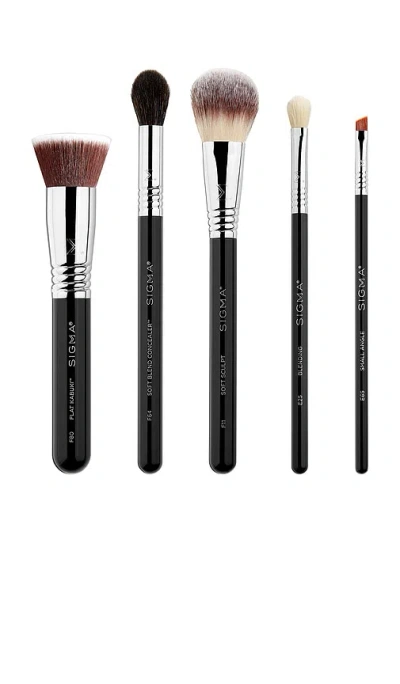Sigma Beauty Must Have Brush Set In Multi