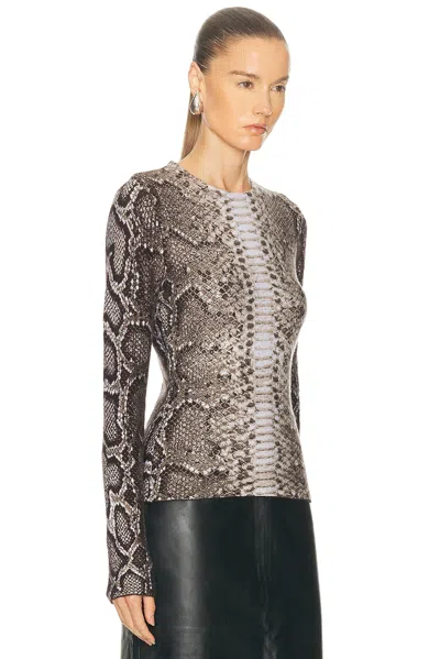 Gabriela Hearst Asha Long Sleeve Python-print Top In Gray